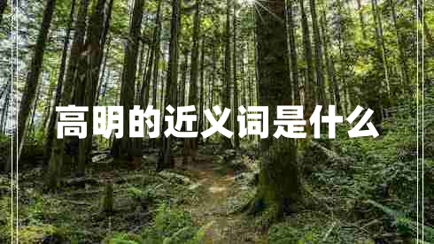 高明的近義詞是什么