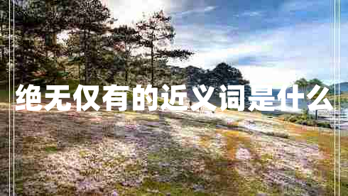 絕無僅有的近義詞是什么