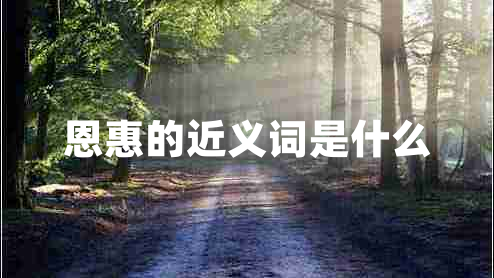 恩惠的近義詞是什么