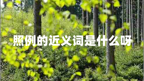 照例的近義詞是什么呀