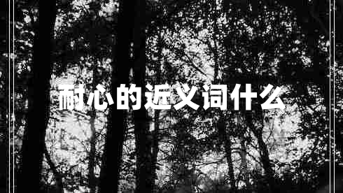 耐心的近義詞什么