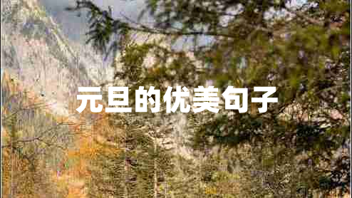 元旦的優(yōu)美句子