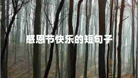 感恩節(jié)快樂的短句子