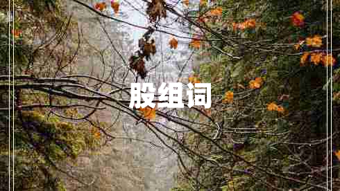股組詞