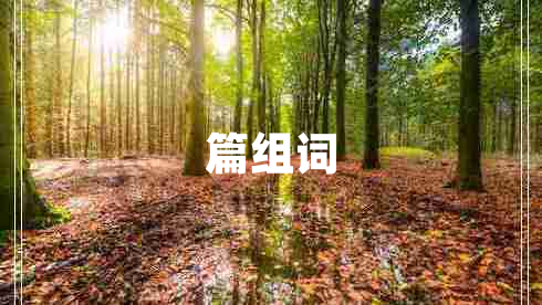 篇組詞