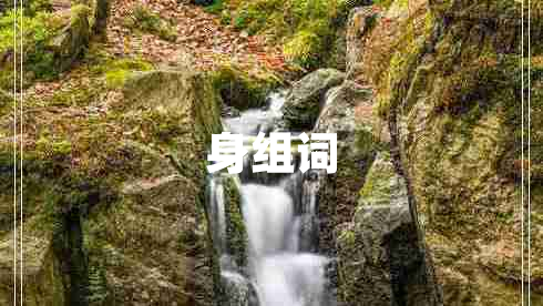 身組詞 身組詞