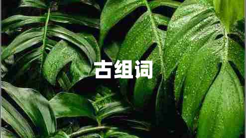 古組詞