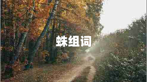 蛛組詞 蛛組詞