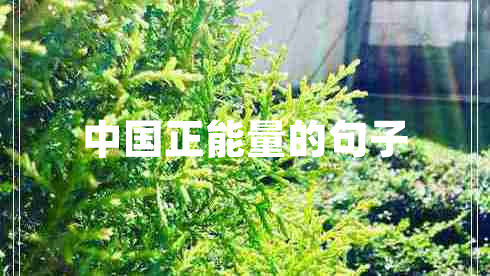 中國正能量的句子