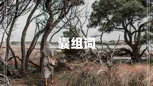 囊組詞 囊組詞