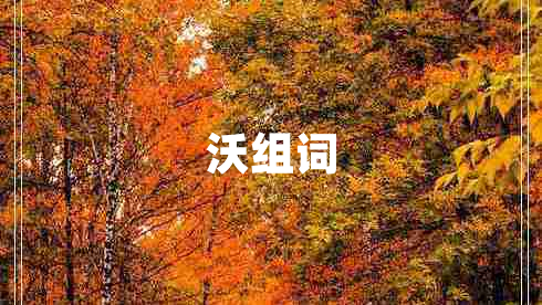 沃組詞