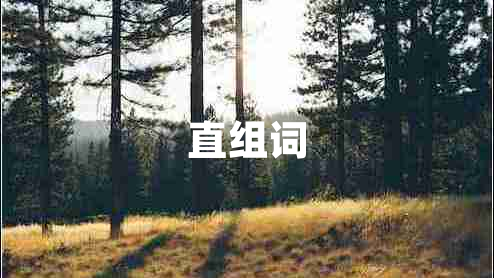 直組詞