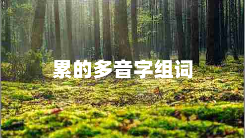 累的多音字組詞