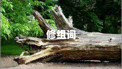 修組詞