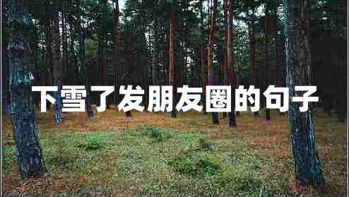 下雪了發(fā)朋友圈的句子 下雪了發(fā)朋友圈的句子