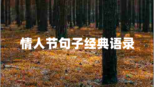 情人節(jié)句子經(jīng)典語錄