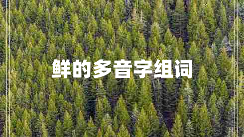 鮮的多音字組詞