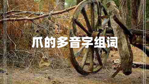 爪的多音字組詞 爪的多音字組詞