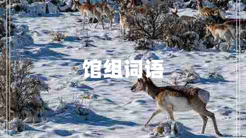 館組詞語(yǔ) 館組詞語(yǔ)