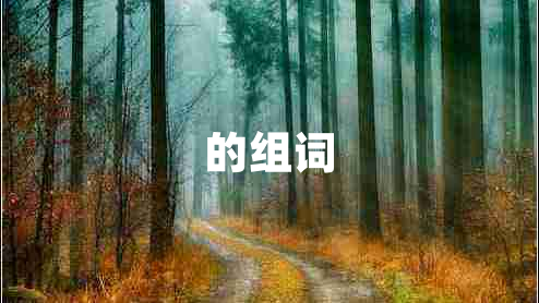 的組詞