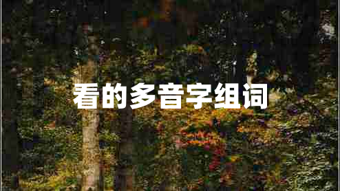 看的多音字組詞