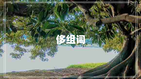 侈組詞