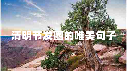 清明節(jié)發(fā)圈的唯美句子