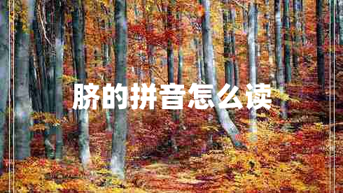 臍的拼音怎么讀