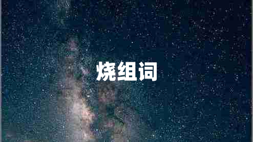 燒組詞 燒組詞