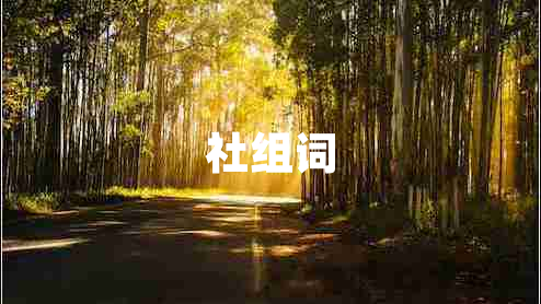社組詞
