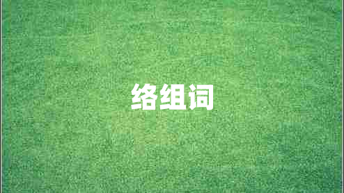 絡(luò)組詞 絡(luò)組詞