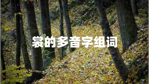 裳的多音字組詞