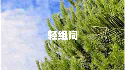 輕組詞