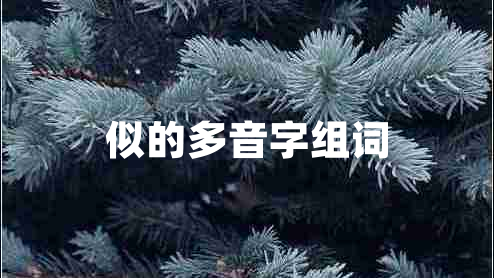 似的多音字組詞