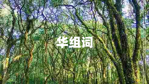 華組詞 華組詞