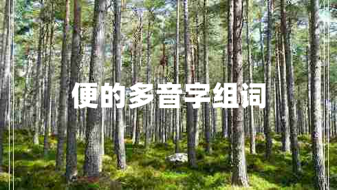 便的多音字組詞