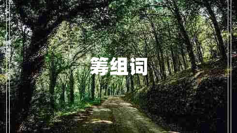 籌組詞