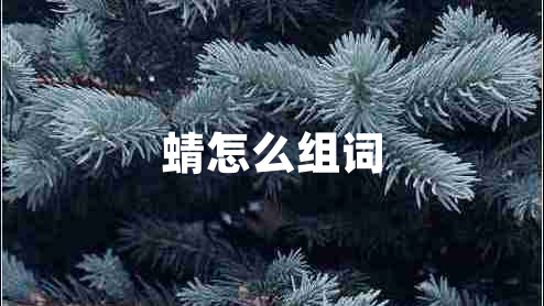 蜻怎么組詞 蜻怎么組詞