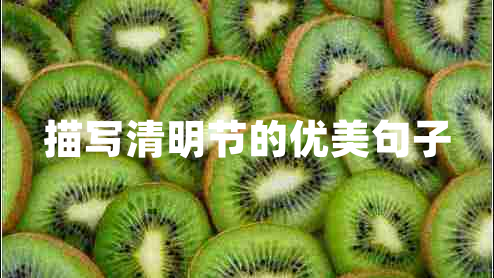 描寫清明節(jié)的優(yōu)美句子