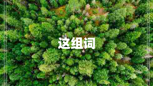 這組詞 這組詞