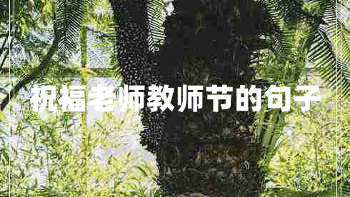 祝福老師教師節(jié)的句子