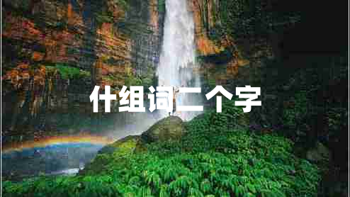 什組詞二個(gè)字
