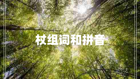 杖組詞和拼音 杖組詞和拼音