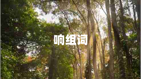 響組詞 響組詞