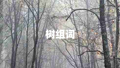 樹組詞