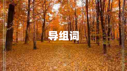 導(dǎo)組詞