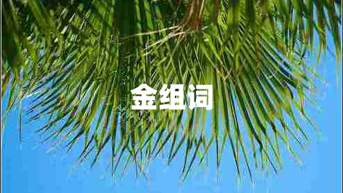金組詞