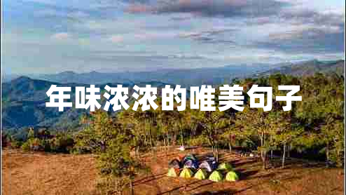 年味濃濃的唯美句子