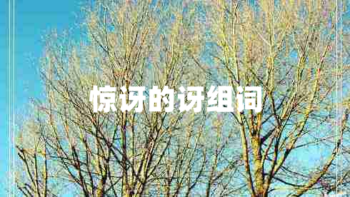 驚訝的訝組詞 驚訝的訝組詞