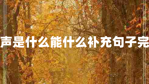 掌聲是什么能什么補充句子完整 掌聲是什么能什么補充句子完整